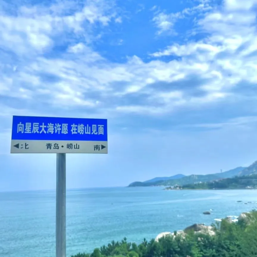 非常有道理的句子