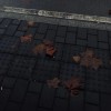 余光中