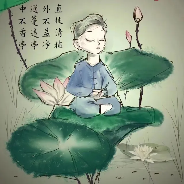 莲杰精编