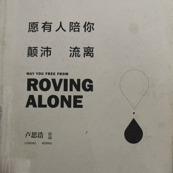 《愿有人陪你颠沛流离》