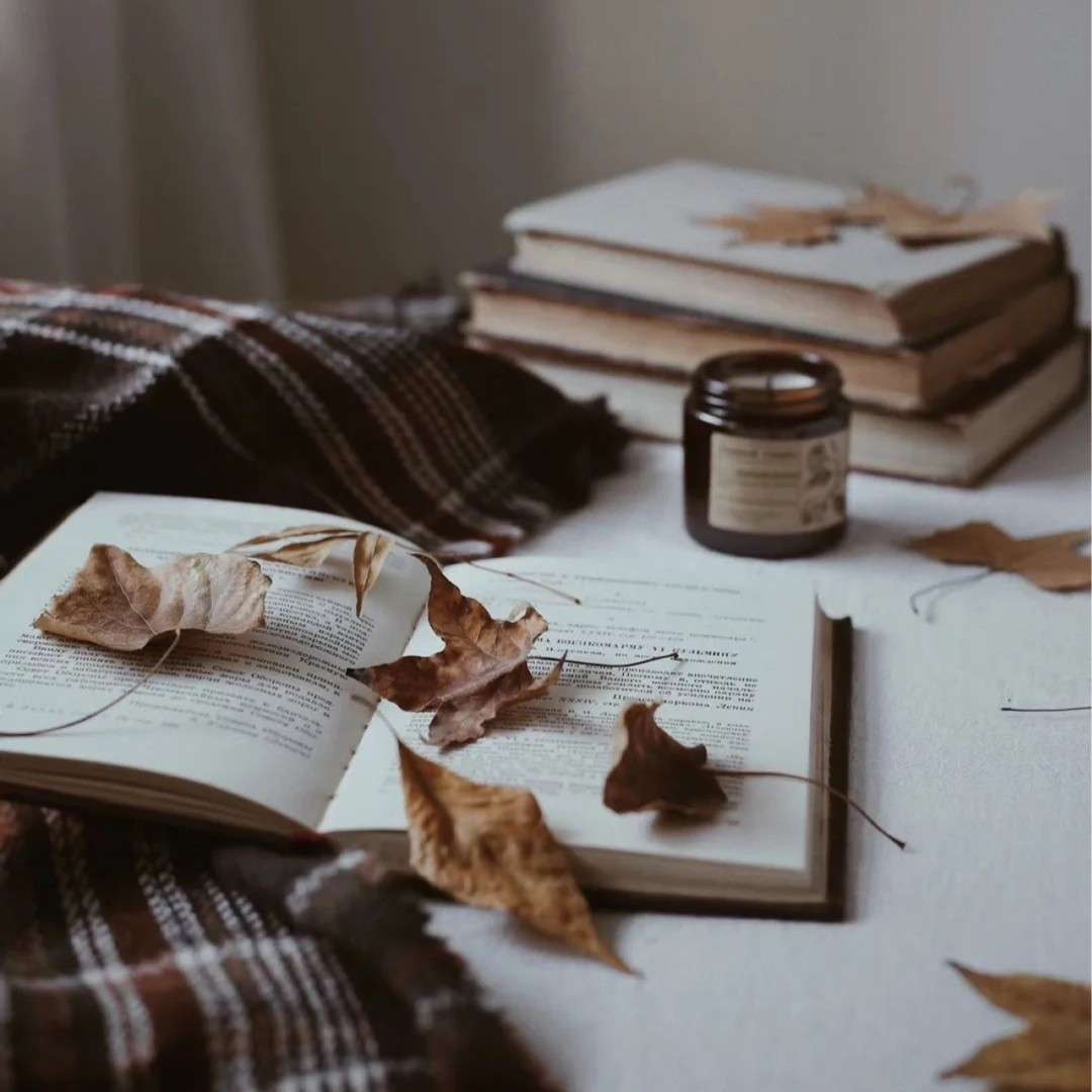 《小说里荡气回肠的片段》