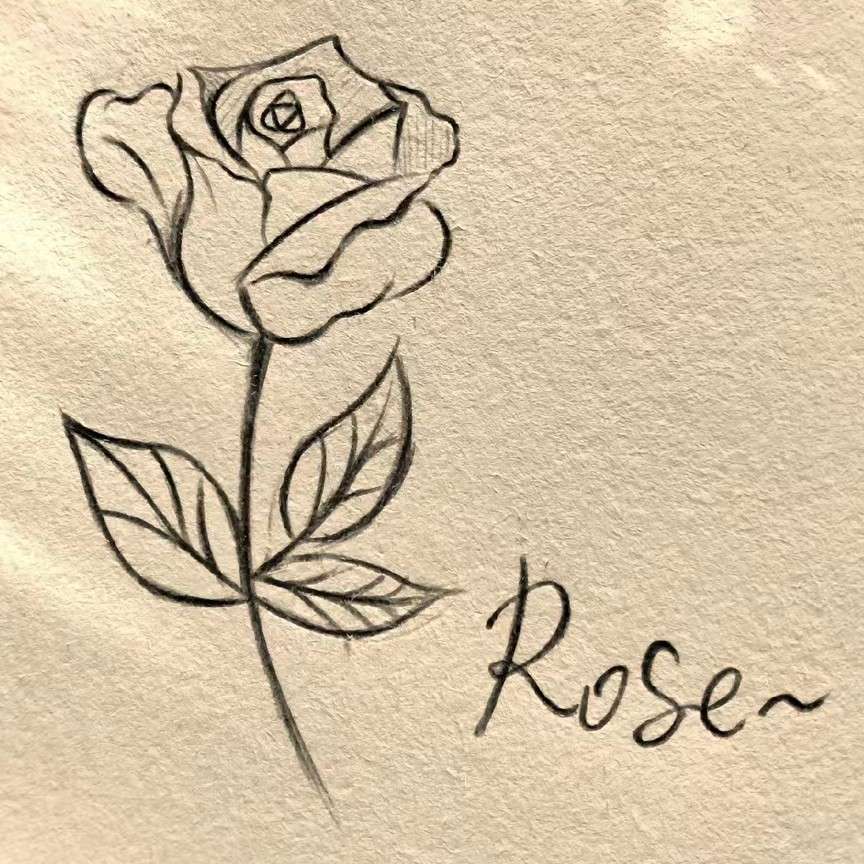 无人问津的港口，总是开满鲜花.