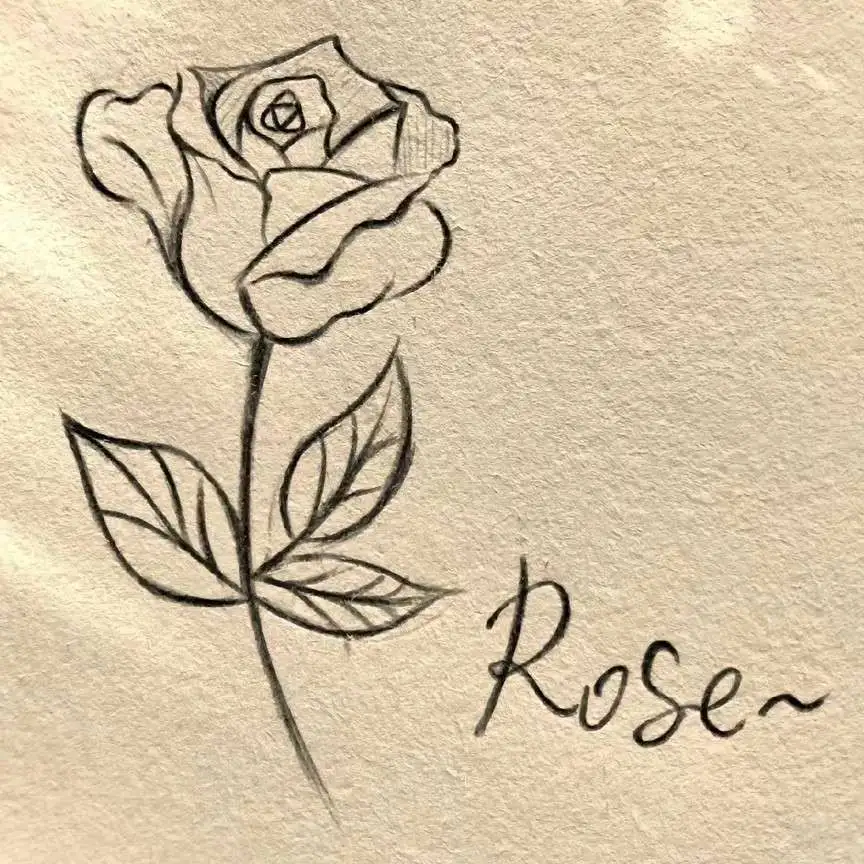 无人问津的港口，总是开满鲜花.