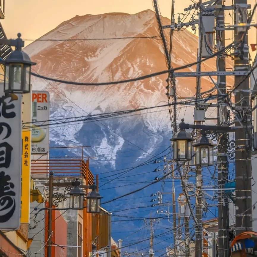 撞进夏日晚风的专辑