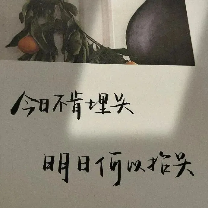 Donald Duck的专辑