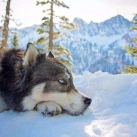 让你听后心塞的歌词