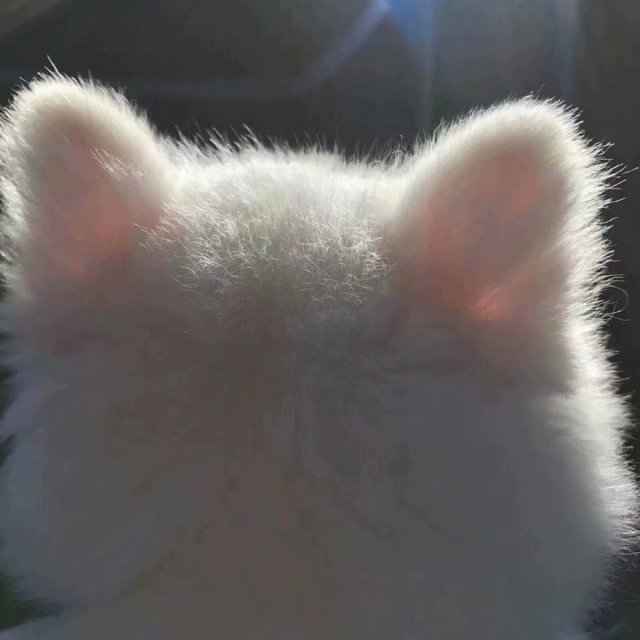 这是一个小故事❤