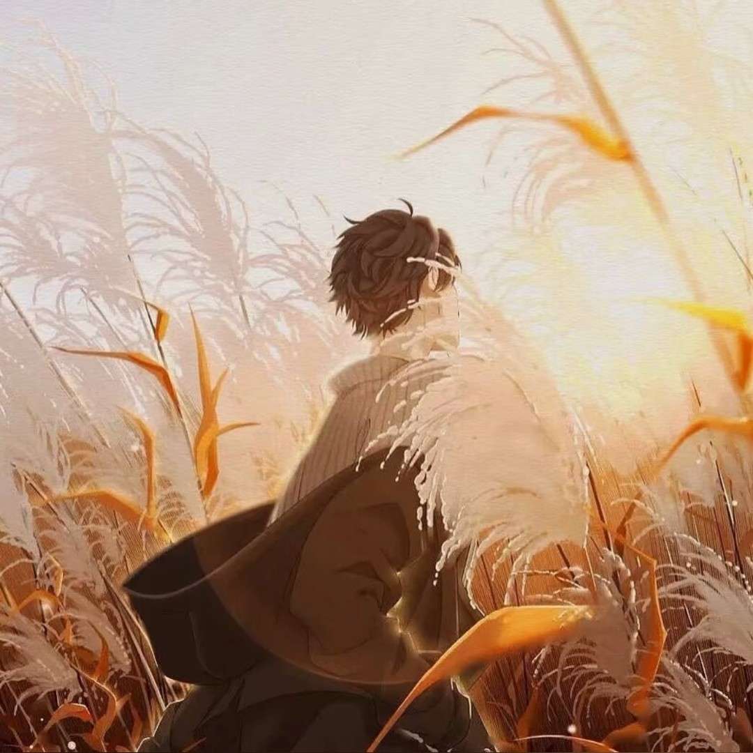欲让风止，狂风骤驰的专辑