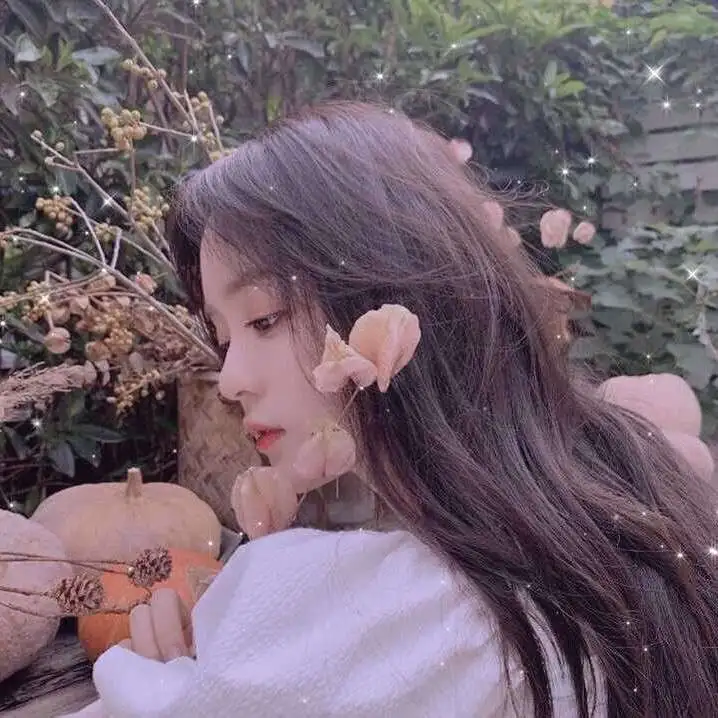 明星同人文案馆