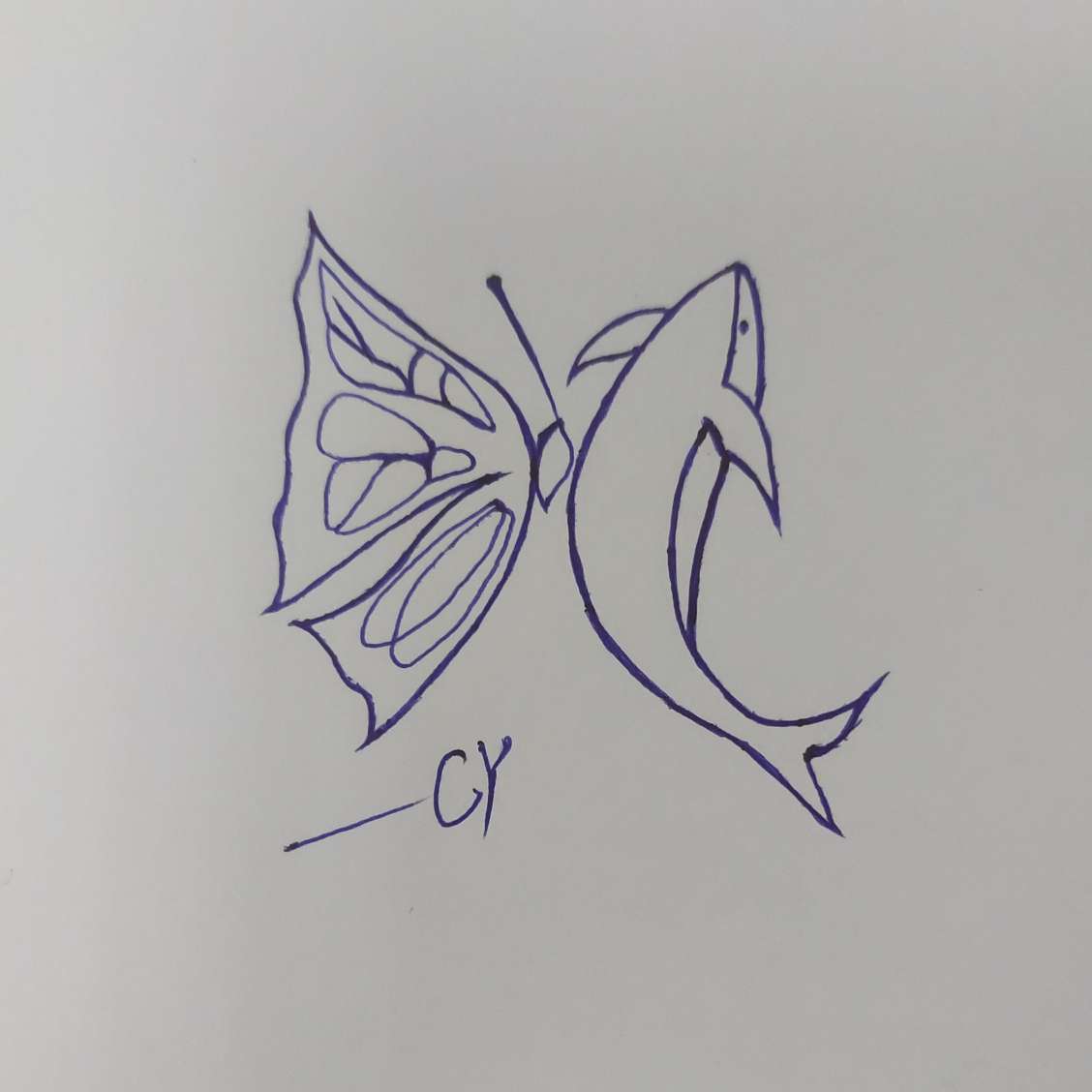 偷渡的蝴蝶与鲸鱼