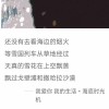 文案