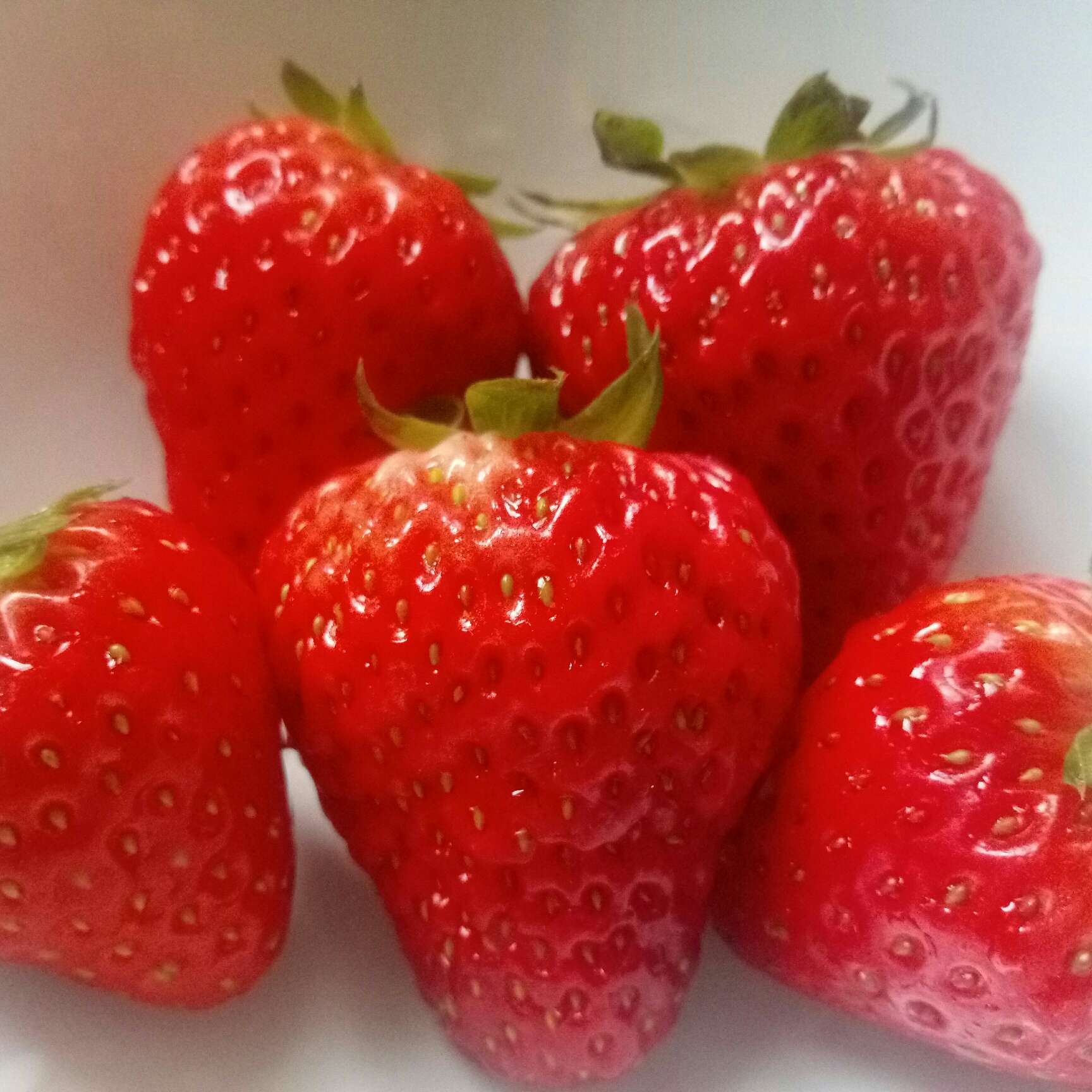 A林清愚.的专辑