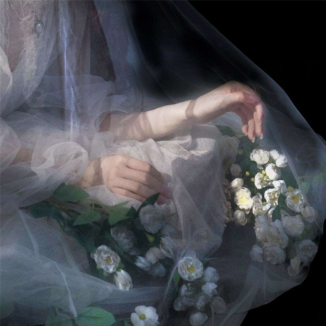 不 染 长昭的专辑