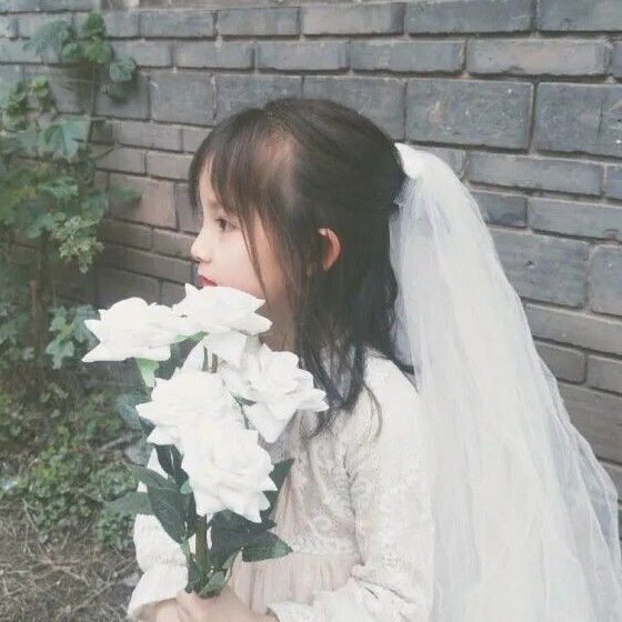 秦霄贤的小宝贝.