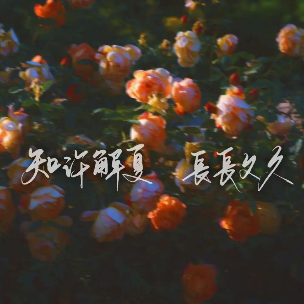 be狂魔求生系统