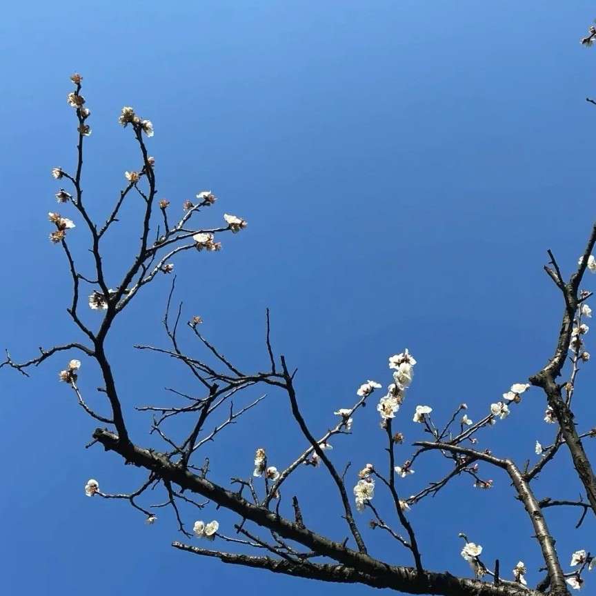 UP！UP！GO！GO！GO！