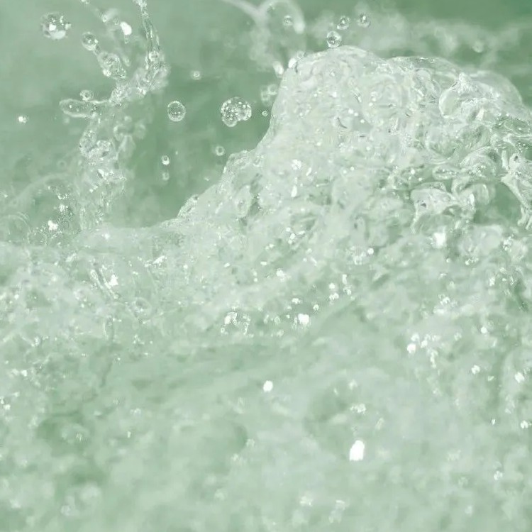 腹有诗书气自华