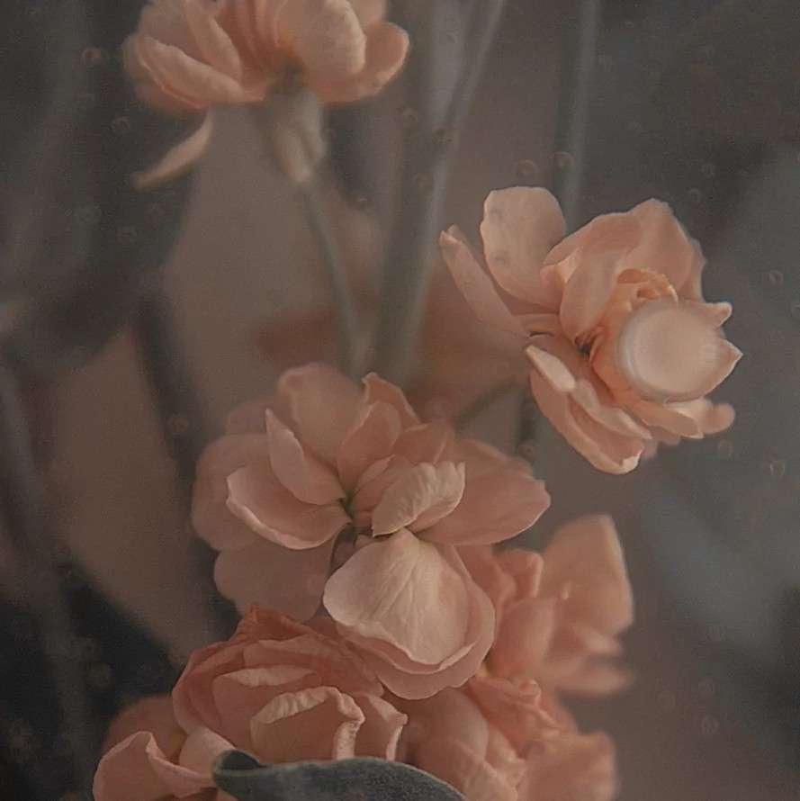 你温柔了岁月，愿世界对你温柔以待