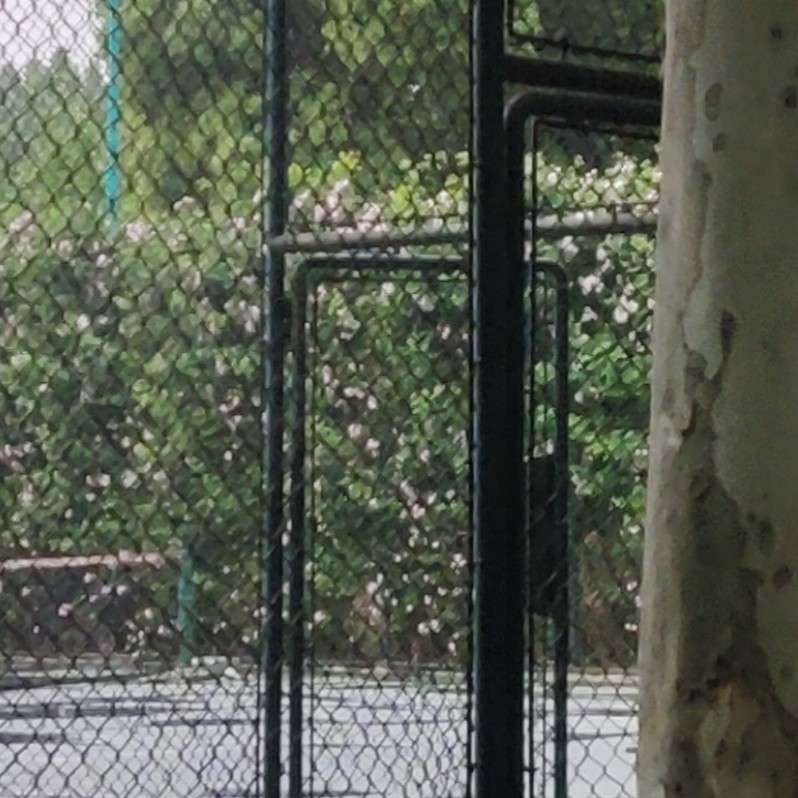 向上生长，我就是我，不是别人。