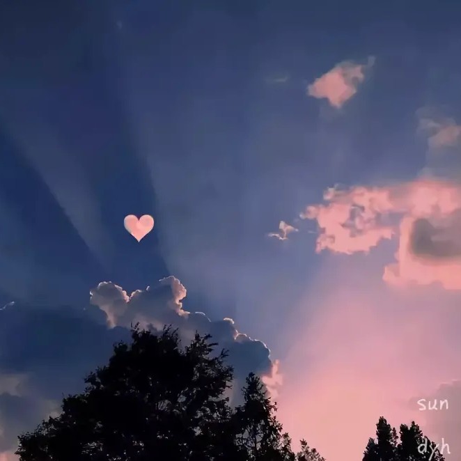 猜猜我是谁(=^･ｪ･^=)