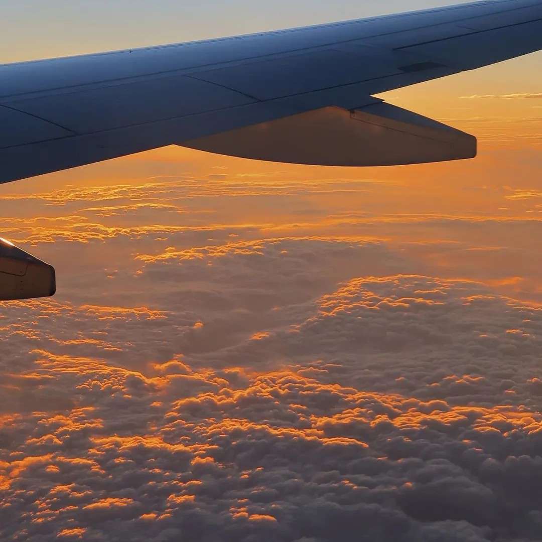 《收藏专列》·咩拒绝ﾉ☀