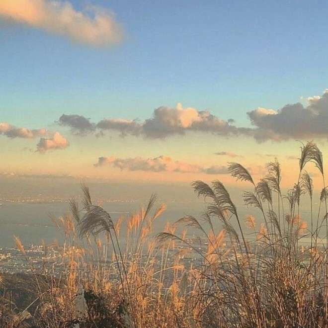 《2020年最火的句子》