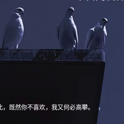 既然你不喜欢我，我何必高攀