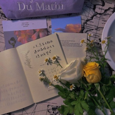 漫游在文字中的精灵