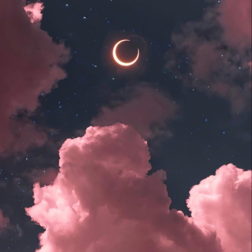 人这一生总会有故事