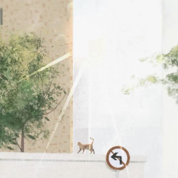 别慌，月亮也正在大海某处迷茫。