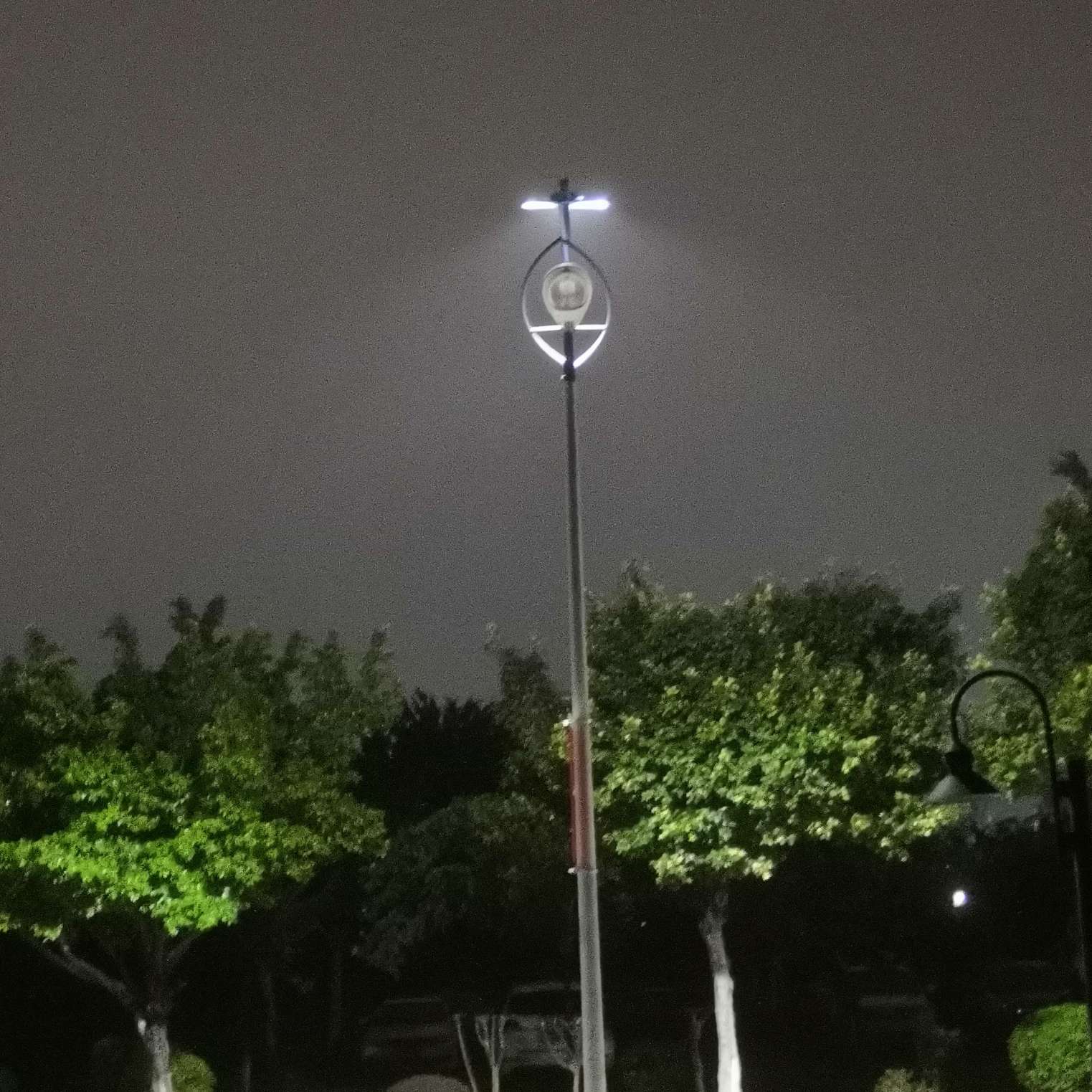 愿有人每天变着法儿跟你说晚安