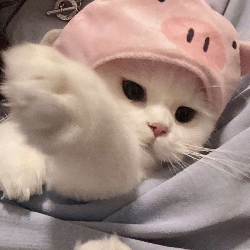 李梦然(林星辰)的专辑