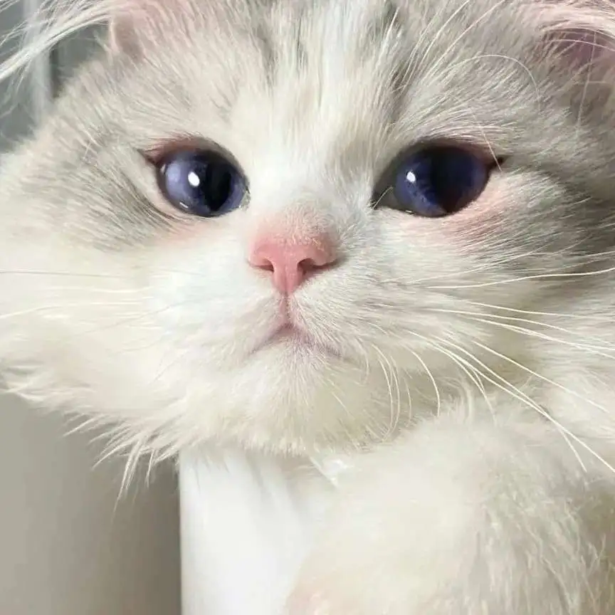 累了来看看呀