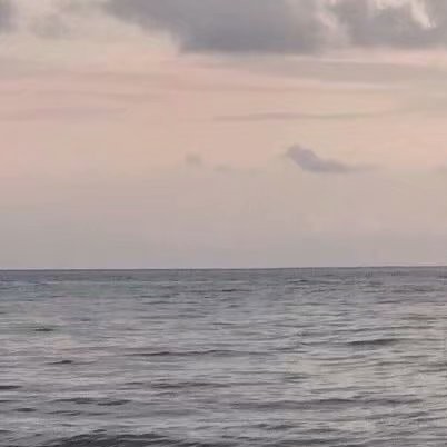 《恰似寒光遇骄阳》