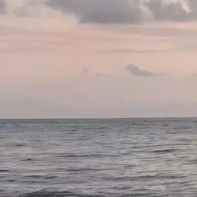 《恰似寒光遇骄阳》