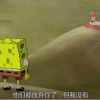 似.
