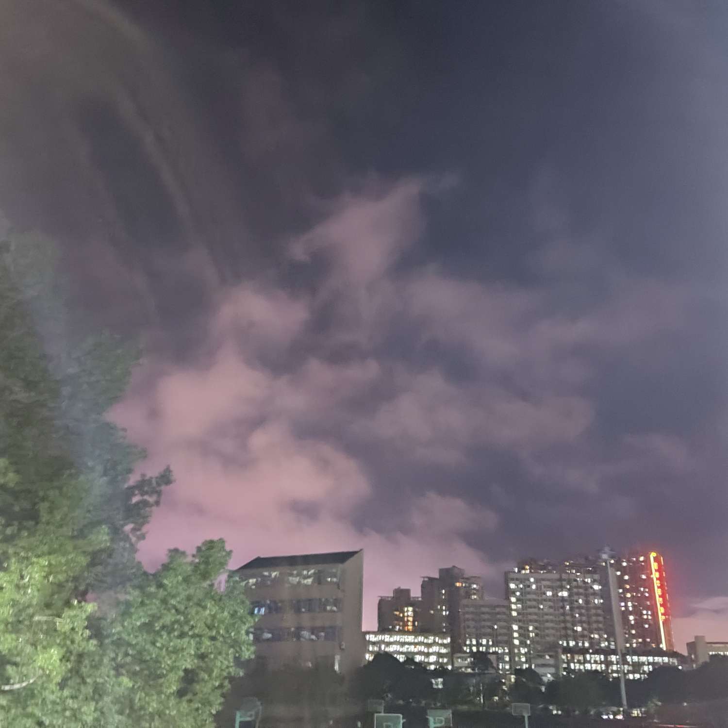 土豆烧排骨的专辑