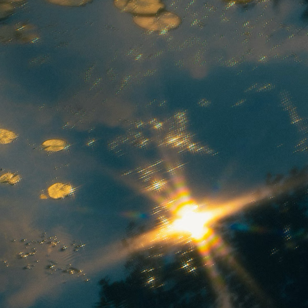 光影拾梦｜那些电影台词里的微光与温暖