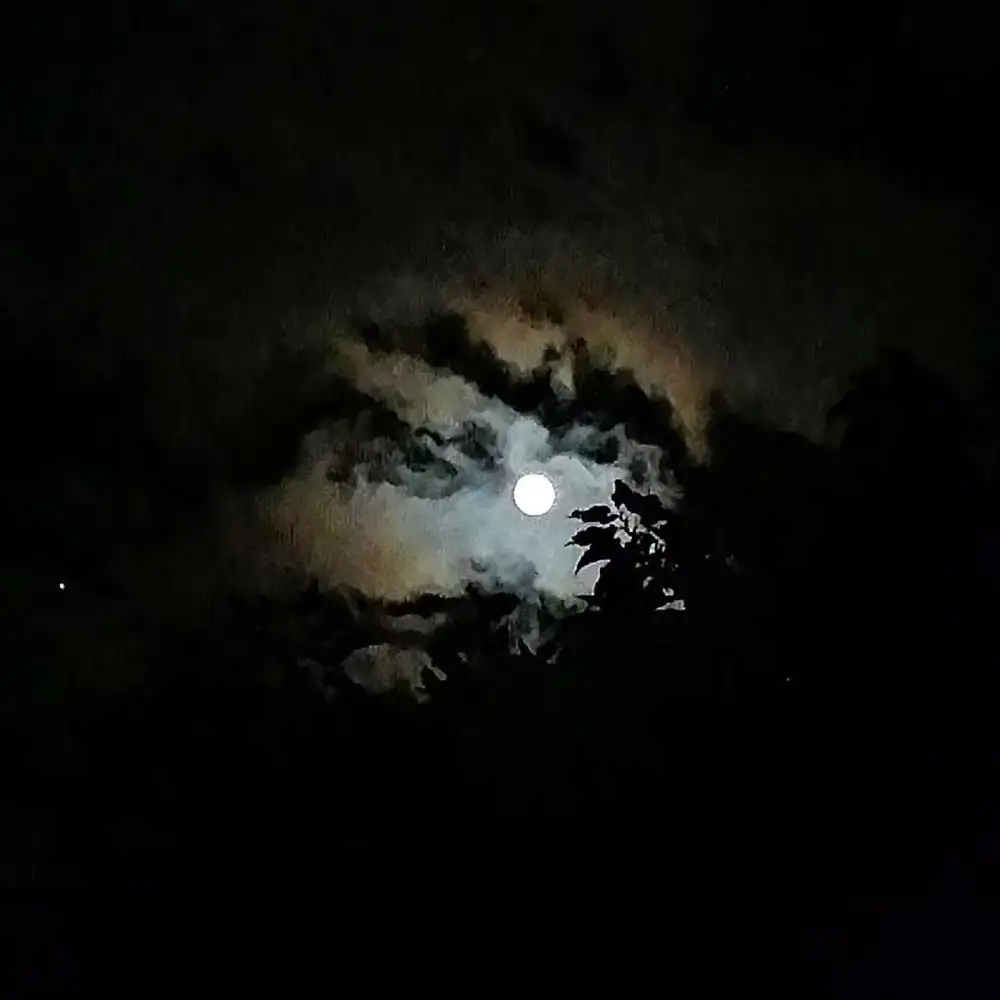 无与伦比