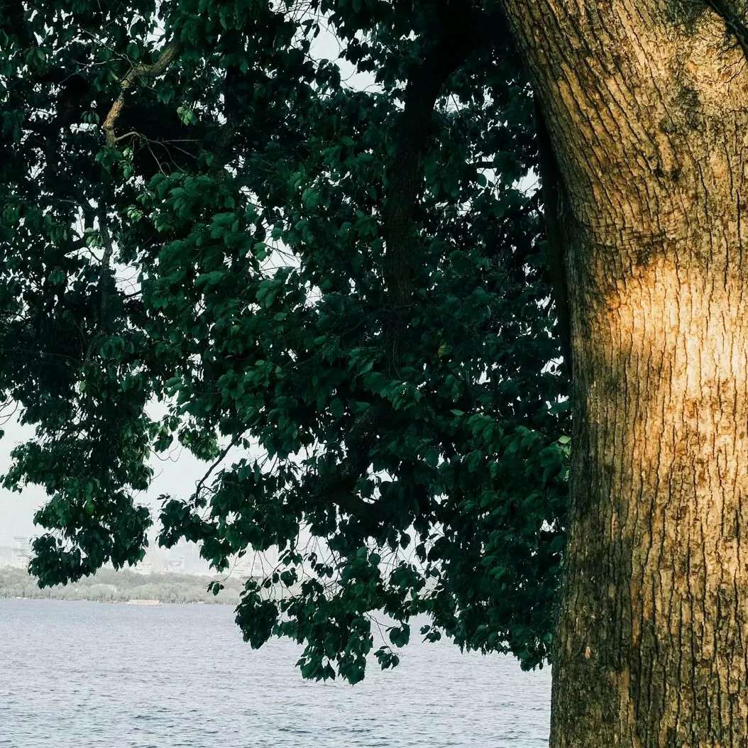 —请ChOoSe的专辑