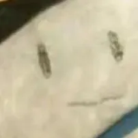 无感