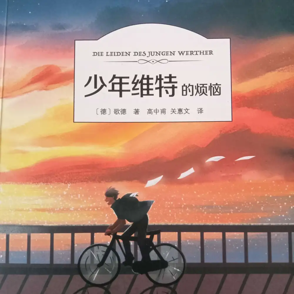 少年维特的烦恼