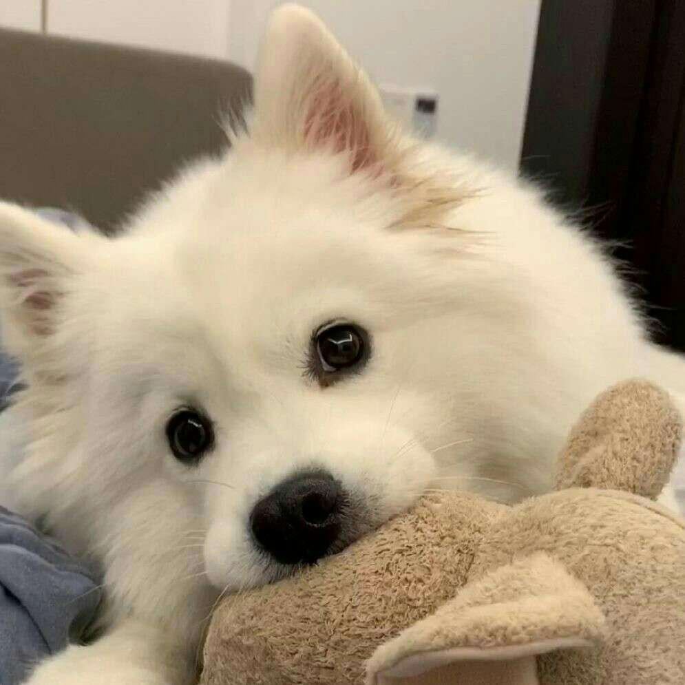 这是一堆认真的作文素材