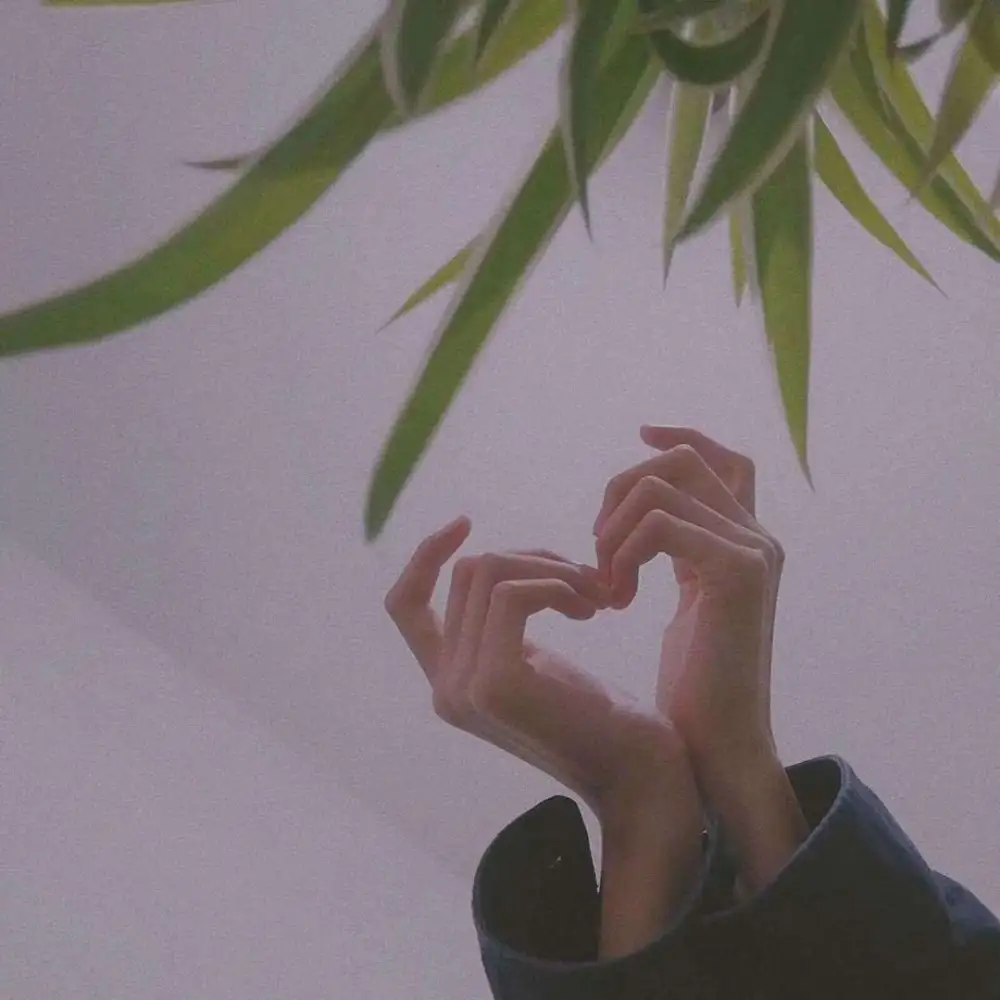 君故的专辑
