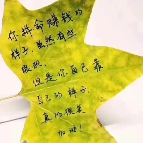 想成为更好的自己，就去见识更大的世界，认识更多奇妙的人，汲取更广泛的知识。你不需要别人过多的称赞，因为你自己知道自己有多好。内心的强大，永远胜过外表的浮华。