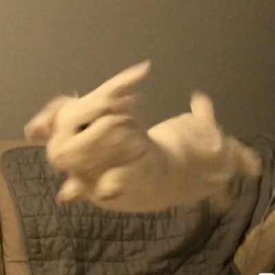 瑶瑶甜不甜的专辑