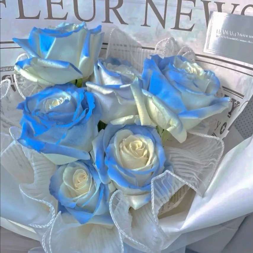 木有牙的免子的专辑