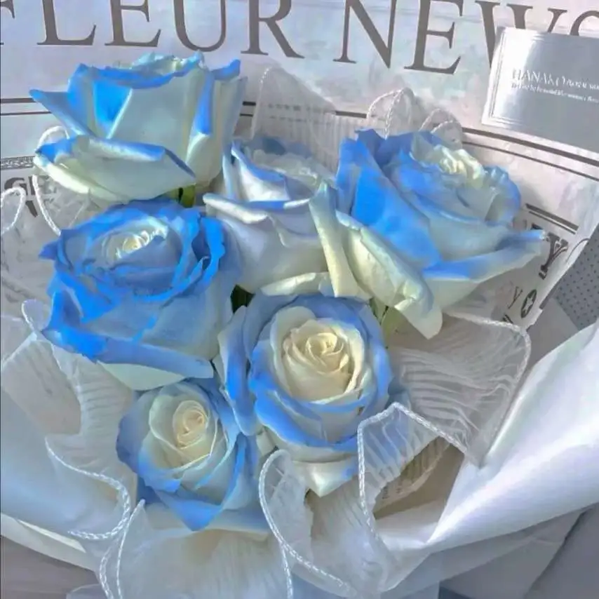 木有牙的免子的专辑