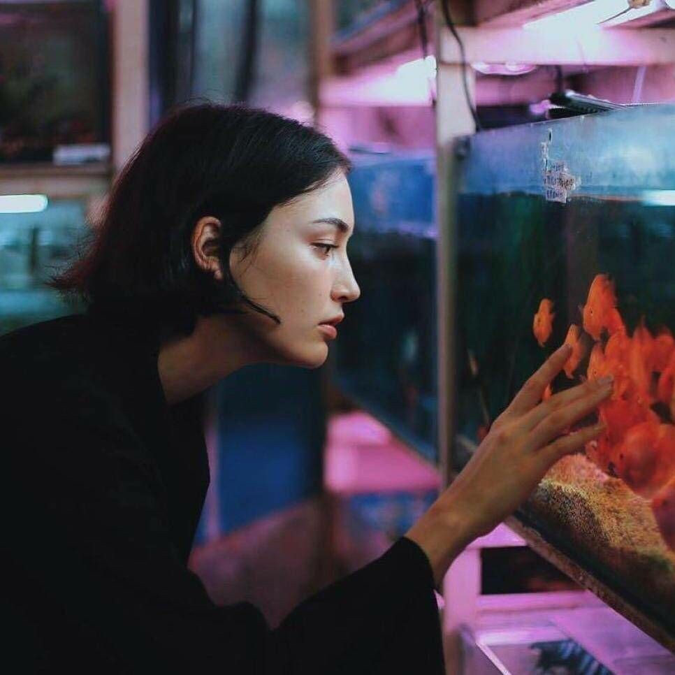 应是良辰好景虚设