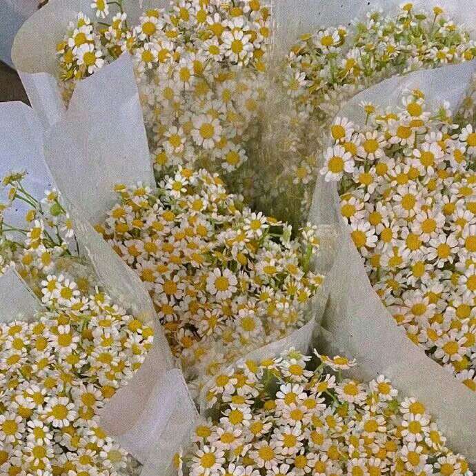 那些惊艳了众生的民国情话